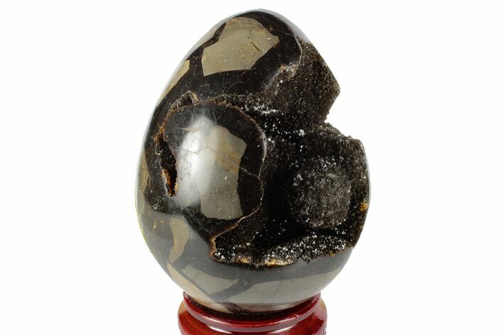 Septarian Dragon Egg Geode - Black Crystals #191470